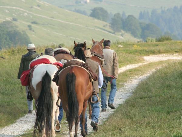 Campeggio Branchetto 호텔 보스코 키에사누오바 외부 사진
